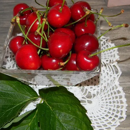 Relais Fenicottero Rosa *